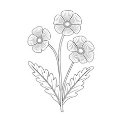 buttercup flower illustration vector style coloring page 