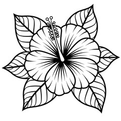 Fototapeta premium hibiscus flower coloring page line art