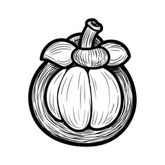 Mangosteen fruit drawing, sketch illustration graphic art. Healthy diet food concept, natural fresh organic ingredient on transparent background.