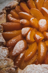 Apricot galette with cottage cheese dough and powdered sugar