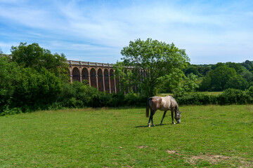 The Ouse Valley Viaduct (Balcombe Viaduct) - the iconic railway structure in West Sussex. It's...