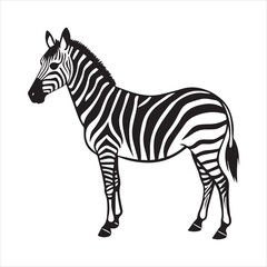 Obraz premium plain zebra silhouette vector illustration
