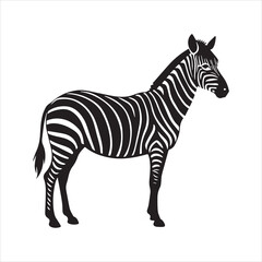 plain zebra silhouette vector illustration