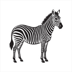 Fototapeta premium plain zebra silhouette vector illustration