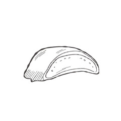 Vector illustration cartoon of Aloe Vera cross-section slice in hand-drawn black-and-white style, ideal for cosmetics, packaging or educational diagrams