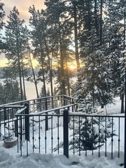 Snowy Forest Sunrise From Balcony