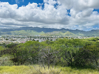 Hilltop View of City and Mountains