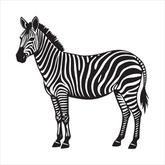 Obraz premium plain zebra silhouette vector illustration