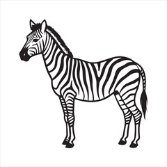 Obraz premium plain zebra silhouette vector illustration