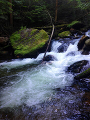 Obraz premium Mountain Stream Rushing Over Mossy Rocks