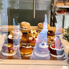 Gourmet Donuts on Display