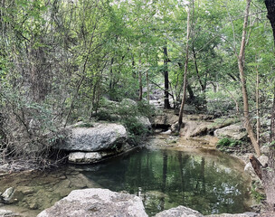 Creek Winding Through Forest