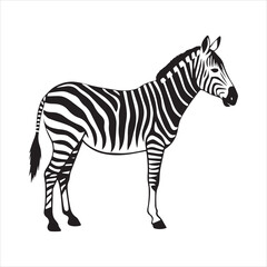 Obraz premium plain zebra silhouette vector illustration