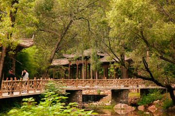wooden bridge in the forest