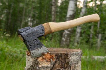 Finnish axe in a birch forest.