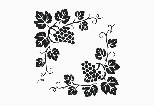 Decorative black grape vine border with leaves and tendrils on white background