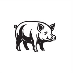 vector illustration of a pig