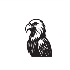eagle vector illustration