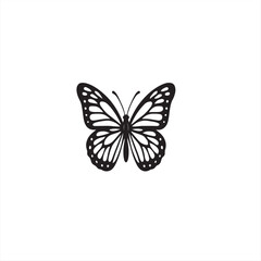 butterfly vector illustration