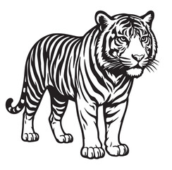 tiger vector illustration