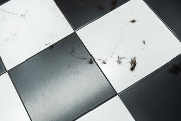 Dust particles and fur scattered on a black and white tiled floor