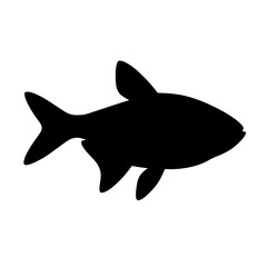 Fototapeta premium Ember Tetra Silhouette with Distinct Fin Shapes on White Background