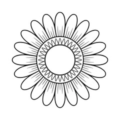Stylized outline of a daisy flower isolated on white background