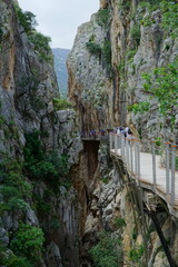 The famous El Caminito del Rey in Malaga with its amazing views with trees, mountains, river and a...