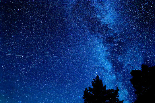 Perseids. They appear every year in the middle of August. Photo from Gotland, Sweden. 