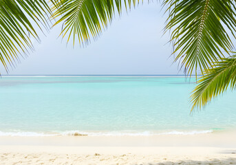 Tropical Beach Paradise White Sand Turquoise Water and Palm Tree Fronds