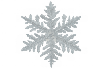 Intricate snowflake crystal falling, creating a winter wonderland atmosphere with transparent background for easy compositing