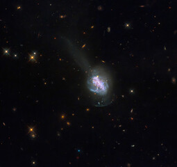 A colorful image of galaxy NGC 1487 captured by the Hubble Space Telescope. Image courtesy of NASA.