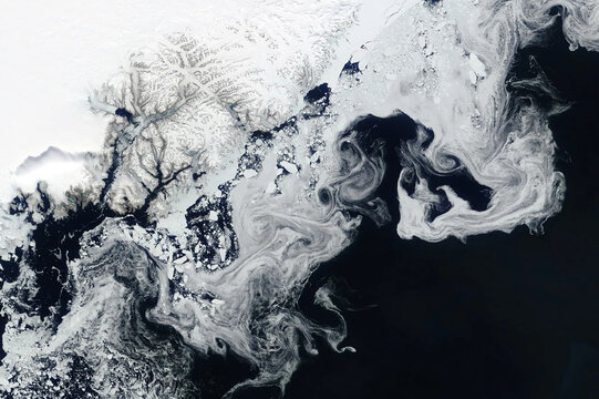 Swirls of sea ice off the coast of Greenland seen in a satellite image from space. Image courtesy of NASA. - Powered by Adobe
