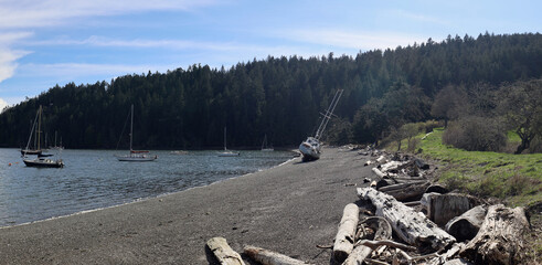 Gravel beach and driftwood of tranquil Canadian bay