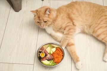 Cat with bowl full of raw natural products on white wooden floor, above view. Pet's balanced diet