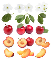 Yummy ripe plums, blossoms and green leaves on white background, collage