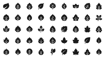 Fototapeta premium Vector Icons Set of Collection of Black Leaf Icons Various Shapes and Styles. Vector Illustrations. EPS Editable