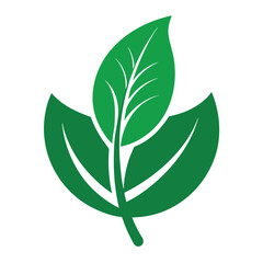 Simple green leaf icon with a clean white background for design
