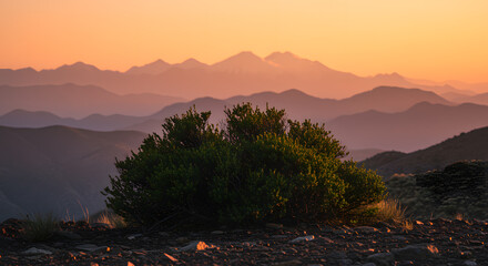 Sunrise over Mountain Ranges with Lush Vegetation vibrant