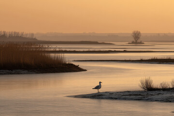 Naklejka premium coastal wetland in moldova at sunrise rich color tones