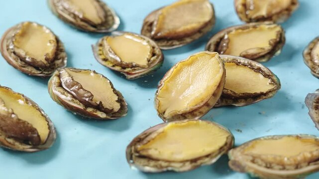fresh raw abalones in water.