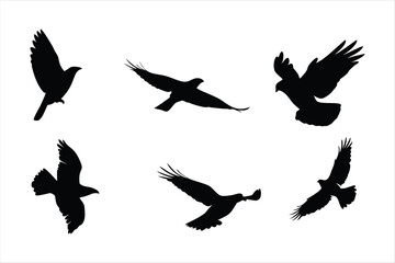 Obraz premium Flying Birds Silhouettes Collection - Majestic Eagle and Hawk Flight Vectors