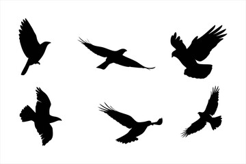 Flying Birds Silhouettes Collection - Majestic Eagle and Hawk Flight Vectors