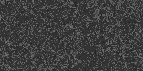 gray topographic map pattern features contour lines in varying shades of gray and white, creating an abstract and textured design, evokes a sense of depth.