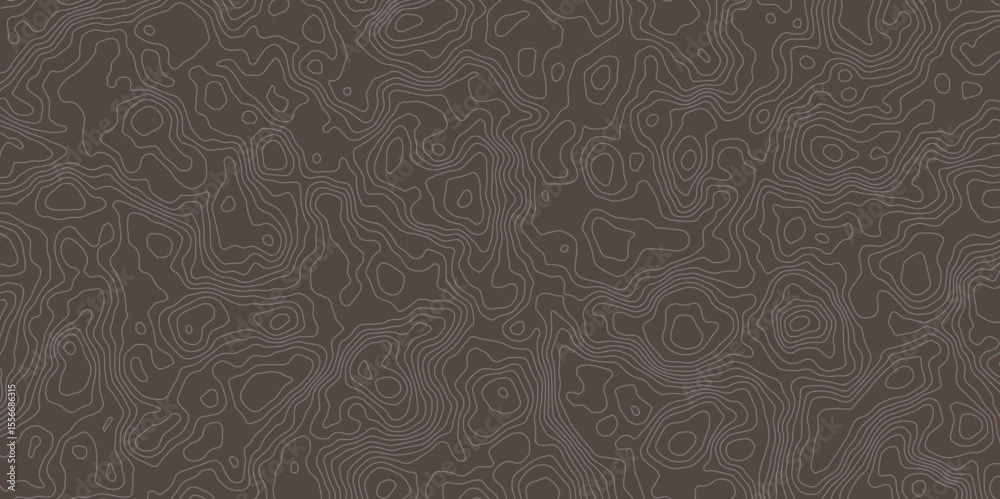 Poster modern topographic map displays contour lines, indicating elevation changes across the surface. it i