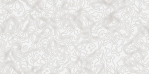 Obraz premium Topographic white and bright light grey stylized line essential for effectively communicating the focus and scope of a map or survey. A well-crafted provides clarity on the geographic area.