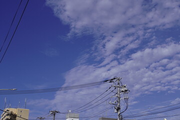 Clear Blue Sky with Power Infrastructure in Shinjuku, Tokyo