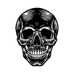 Fototapeta premium Realistic Human Skull Vector Silhouette on White Background