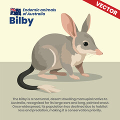 Delicate Vector Drawing of a Bilby – Endangered Desert-Dwelling Marsupial of the Australian Outback