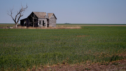 Abandoned House, Oklahoma Panhandle 2023 © Amy Cooper Wise